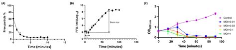 Genomic, Functional, and Evolutionary Insights into a Novel T7-like ...