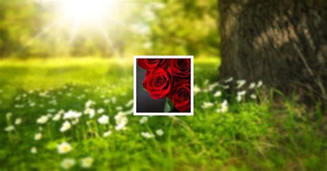 Obituary | Kristina Carol Owen of Alexander, Arkansas | Dial & Dudley ...