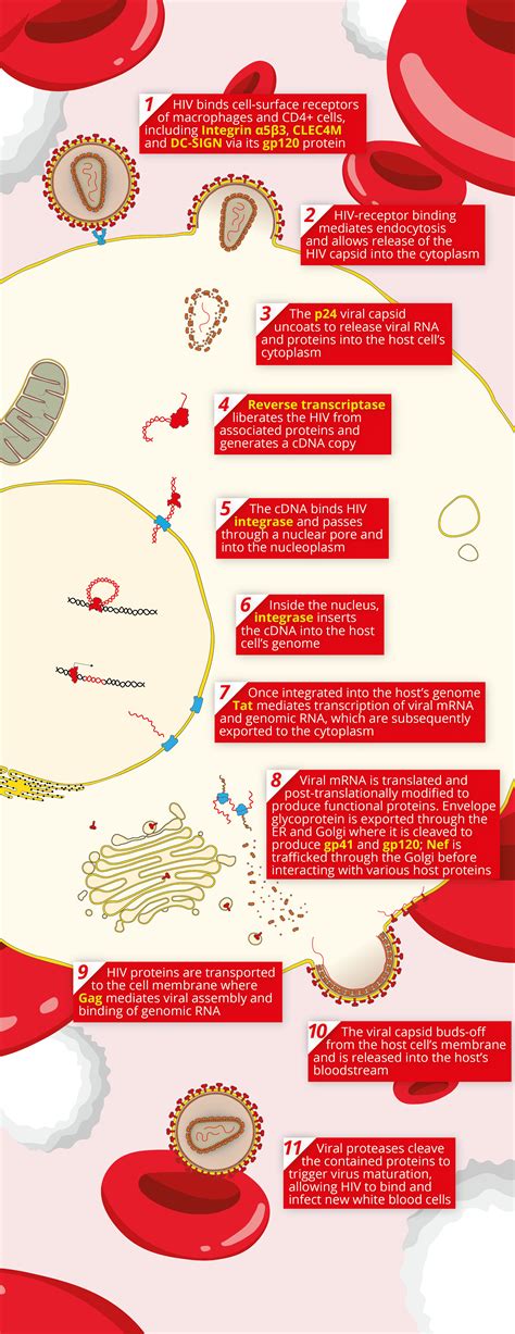 Diagnosing HIV in resource-limited settings - The Native Antigen Company