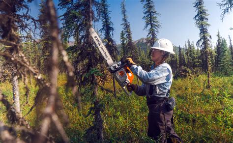 Image result for SCA Fire Protection