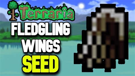 Easy Fledgling Wings Seed in Terraria (1.4.4.7) - YouTube