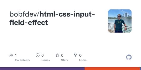Image result for Input CSS Effect