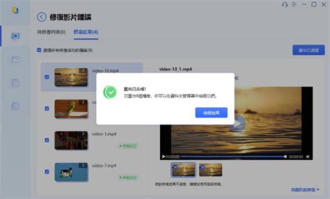 Fix Video.MP4 Free 的图像结果