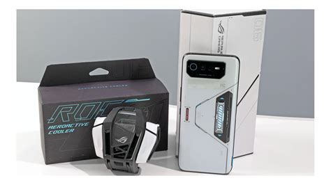 Best Upcoming Asus Phones In India: Price & Launch Date