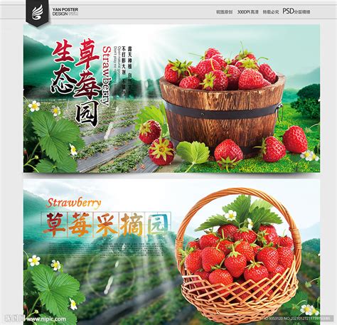 草莓采摘园设计图__海报设计_广告设计_设计图库_昵图网nipic.com