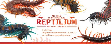 Выставка-продажа Рептилиум | Следующие Рептилиумы: 18-19 октября ...