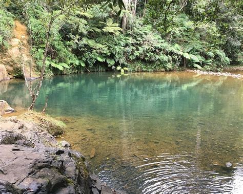 THE 10 BEST Places to Visit in Patillas (2026) - Must-See Attractions