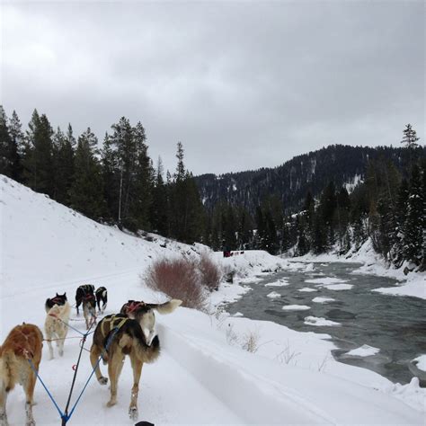 Jackson Hole Iditarod Sled Dog Tours - Jackson Hole WY
