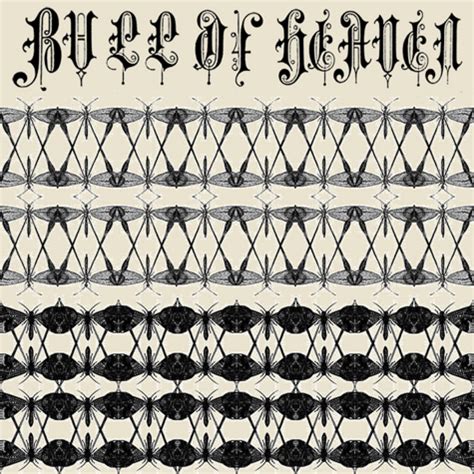 Superstring Theory 的图像结果