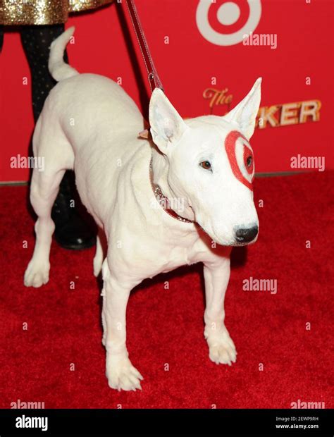 Target Dog Bullseye The Target Dog Attends The World Premiere Of