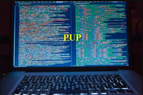 Image result for PUP File