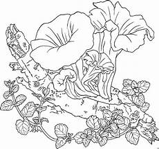 gratis malvorlagen blumen pflanzen im wald ausmalbild malvorlage blumen gratis malvorlagen blumen pflanzen im wald ausmalbild malvorlage blumen