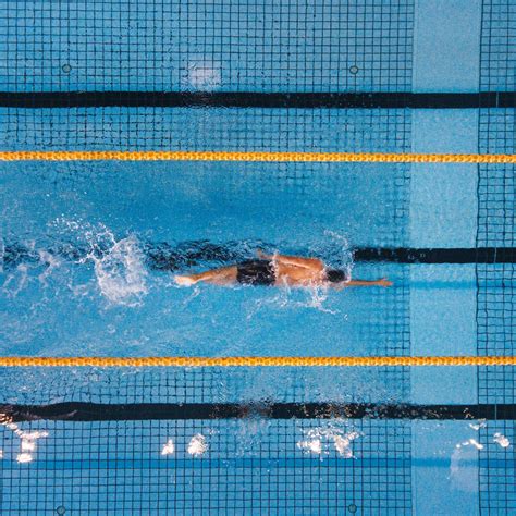 Freestyle Swimming 的图像结果