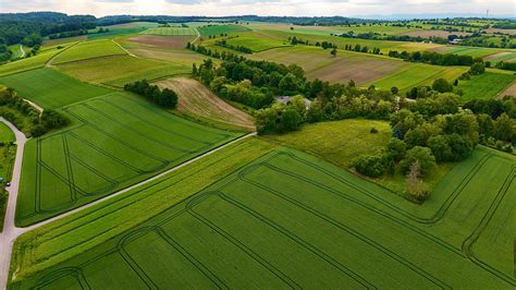 Earth No Background 的图像结果