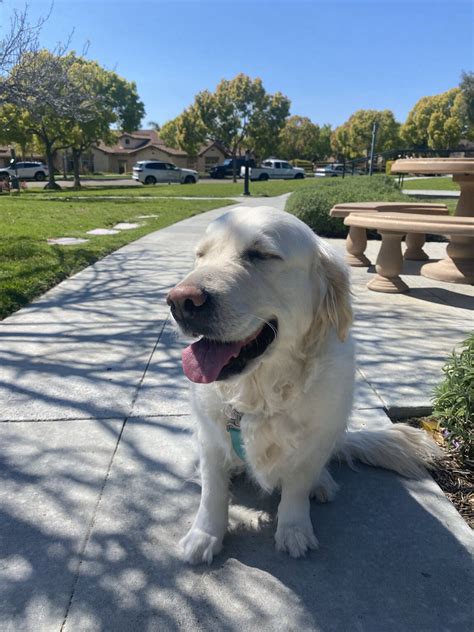 I’d be remiss if I didn’t share a photo and celebrate Lily on National ...