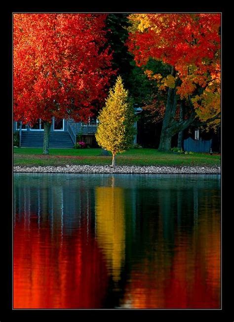 秋天的景色高清图片下载-正版图片500795479-摄图网