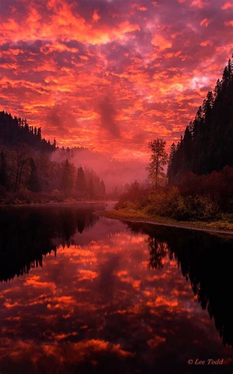 Shadowy St Joe Campground Idaho: Rustic Camping Experience