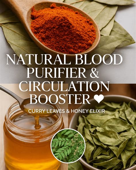 How to Incorporate Curry Leaves and Honey into Your Daily Routine for Better Wellness – dogpjs.com