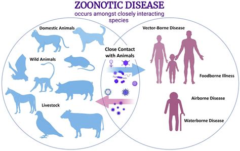 Phylogenetic Diversity of Animal Oral and Gastrointestinal Viromes Useful in Surveillance of ...