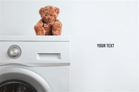 Image result for Bear Washing Machine