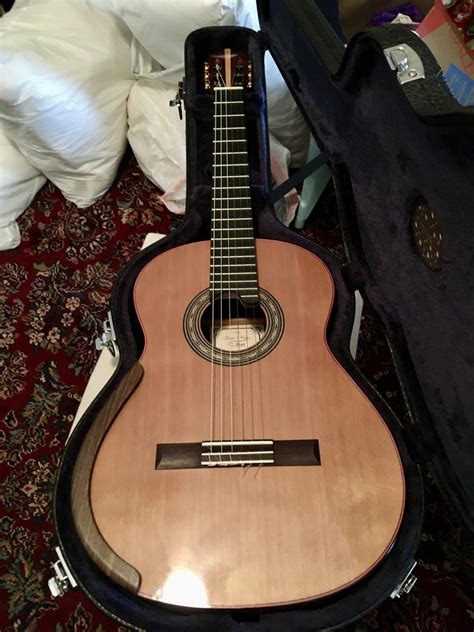 D'Addario EJ45 的图像结果