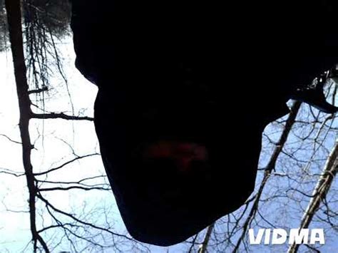 Image result for Not My Problem Audio