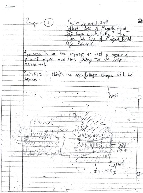 Image result for Practical Work Example for Student