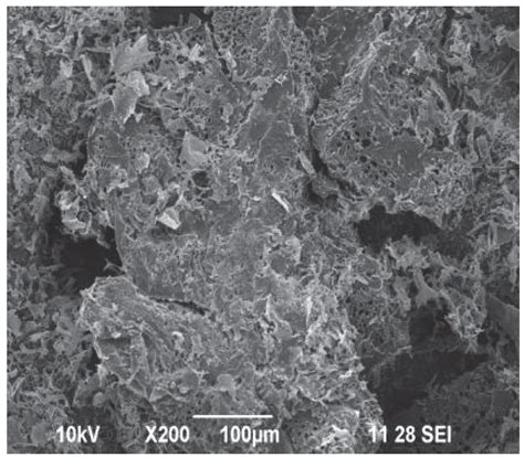 Agricultural Applications of Superabsorbent Polymer Hydrogels