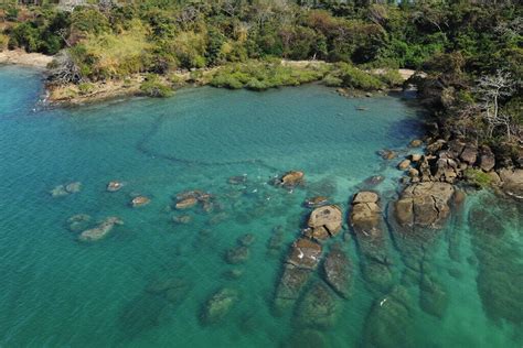 Image result for How to Tell Direction without Compass