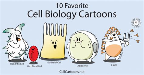 Image result for Cell Adaptation Cartoon