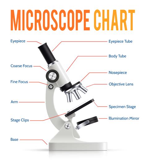Compound Microscope Optical Parts