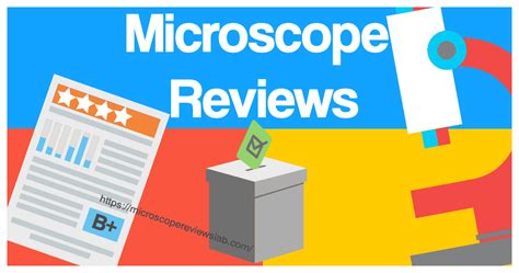 Image result for Microscope Reviews