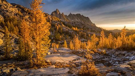 Bing Wallpaper Italy 的图像结果
