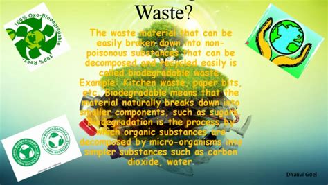 Biodegradable Waste Example 的图像结果