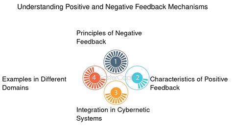 Image result for Negative Feedback Cycle