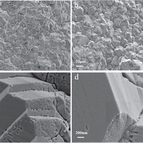 Image result for PbO2 Electrode