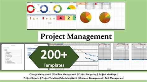 New Project Management Performance Template 的图像结果