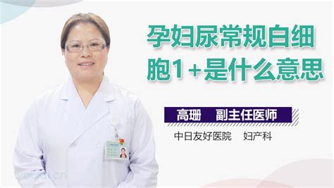 PPT - 黄疸的鉴别诊断及处理 ( Differential diagnosis and treatment of jaundice ...