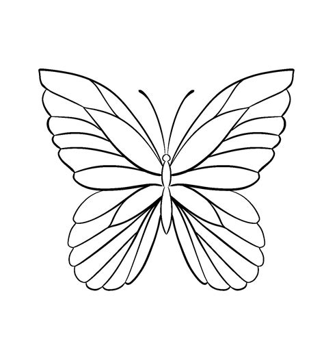 Butterfly Drawing Outline, Butterfly Stencil, Butterfly Clip Art ...
