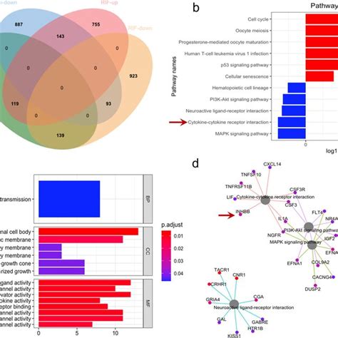 Image result for Transcriptome Analysis