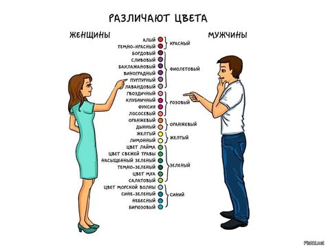 Простые объяснения всего на свете в картинках