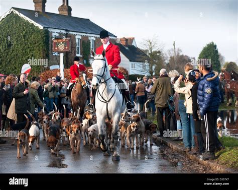 Fox_hunting hi-res stock photography and images - Alamy