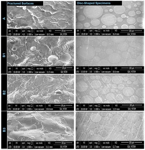 The Effect of Electrospun PMMA/rGO Fiber Addition on the Improvement of ...