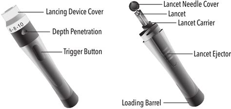 Prodigy AutoCode Directions 的图像结果