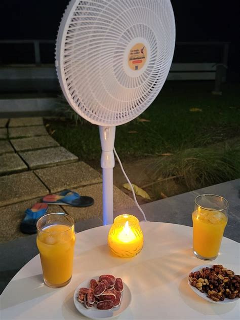 LA MALLE DU COLIBRI - RENTAL OF DOMESTIC EQUIPMENT (2025) All You Need ...