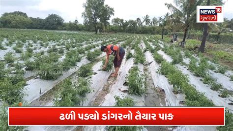 Vapi News In Gujarati: Vapi Latest News, Vapi News, Photos & Videos ...