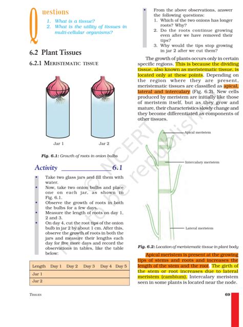 Image result for Class 9th Science Chapter Tissues