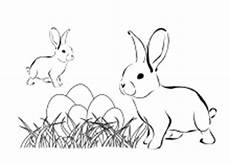 ausmalbild osterhase mit eier ausmalbilder ostern osterhase ostereier kinder malvorlagen ausmalbild osterhase mit eier ausmalbilder ostern osterhase ostereier kinder malvorlagen