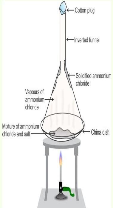 explain an activity with a labelled diagram for the separation of a ...