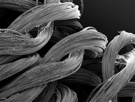 Image result for Tissue Sample